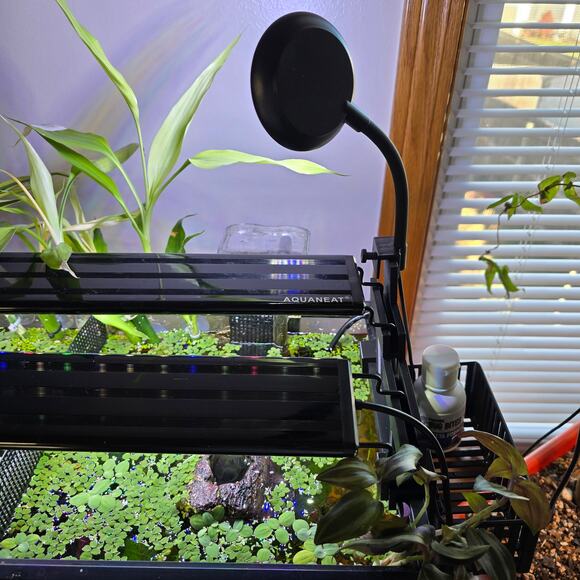 Aqua Hydroponic Aquarium KIT Staggered Light Risers Water Purifying Baskets Pots - Picture 8 of 11